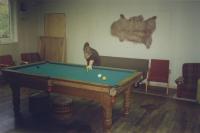 The pool table with the tiny pockets